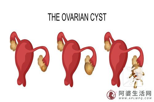 宫腹腔镜手术后10天菜谱是哪些的?