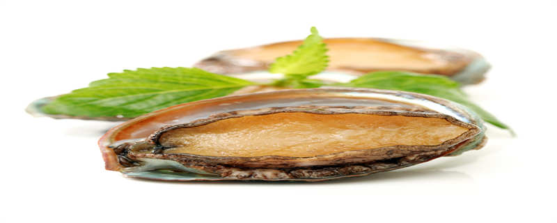 鲍鱼是名贵的海珍品，味道鲜美，营养价值丰富