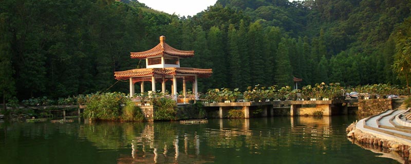 仙湖植物园、灵光寺、黄花岗公园、珠海圆明新园
