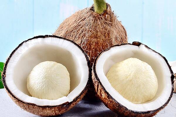 椰子有什么营养和功效