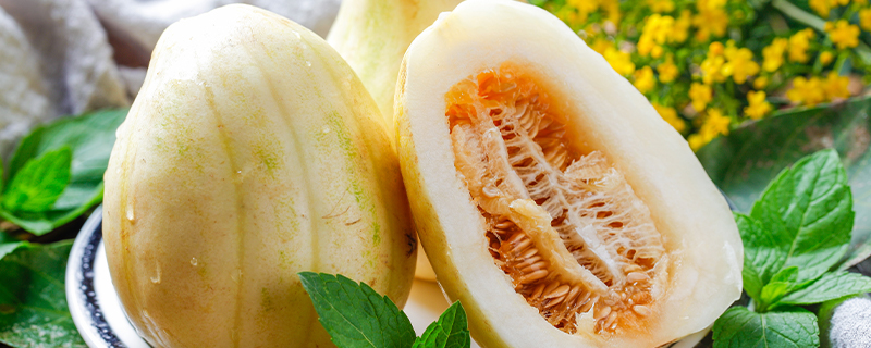 香瓜种子周围裹着一层甜甜的，富含养分的粘液，供人类食用