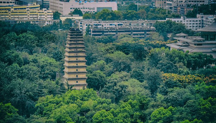 古印度佛教建筑——大雁塔