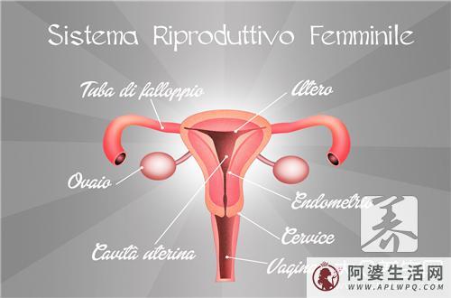 阴囊里面有肿块，到底是什么原因？