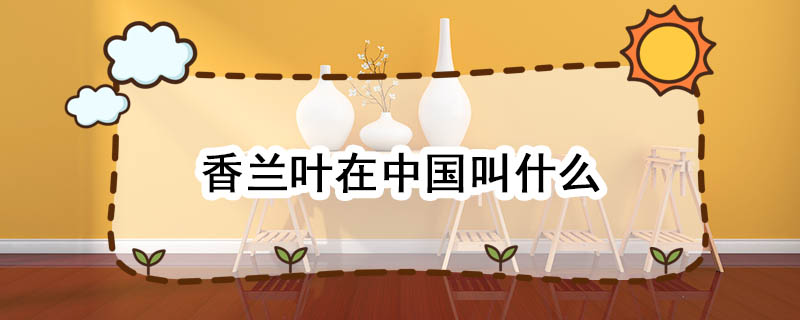 香兰叶——热带的绿色植物