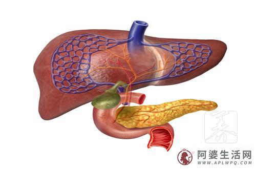 男人最易生病的七个部位