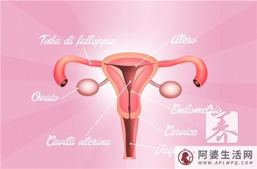 子宫内膜增厚的常见症状