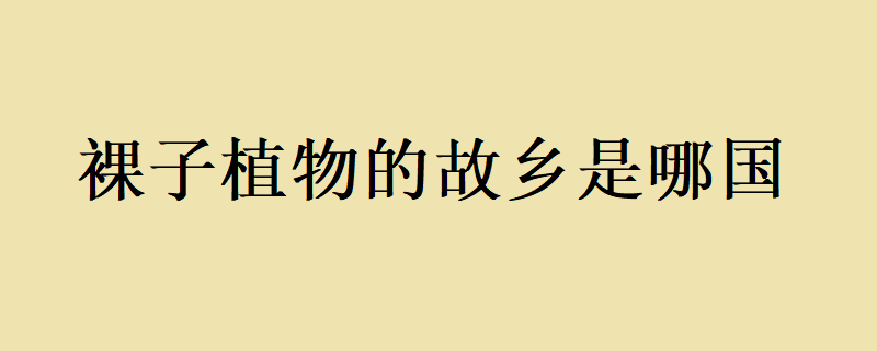 世界上最丰富的国家——裸子植物