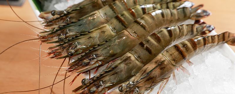 基围虾是海鲜吗？是什么意思？有什么作用？