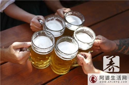 大量饮用啤酒会诱发痛风症