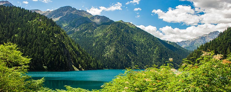 沂山的海拔最高多少米,沂山海拔最高是多少米