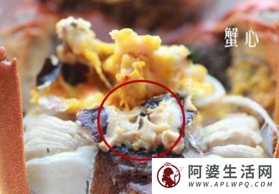 螃蟹哪里不能吃高清图？