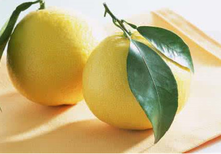 柠檬水的功效与作用 柠檬水的副作用