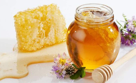 三七粉加蜂蜜的功效与作用