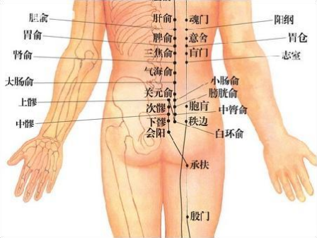 肾俞准确位置图,肾俞的作用,肾俞定位和主治