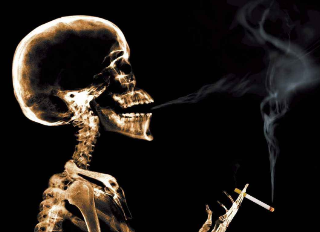 戒烟戒酒三年的肺图片