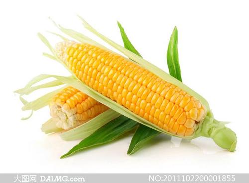 吃玉米的好处与坏处