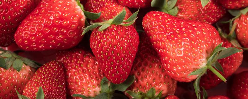 草莓里面有虫子吗 吃草莓会感染寄生虫吗!