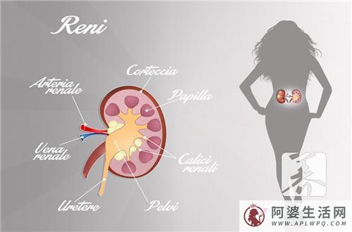 白发拔一根长十根？长白头发的原因有哪些？