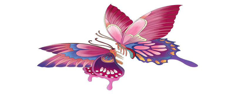 我国的保护动物——凤尾蝶