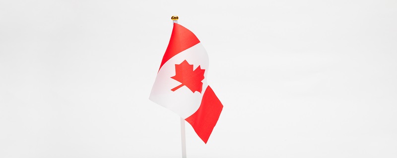 枫叶是加拿大的国旗