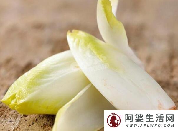 菊苣菜怎么吃，功效作用有哪些？