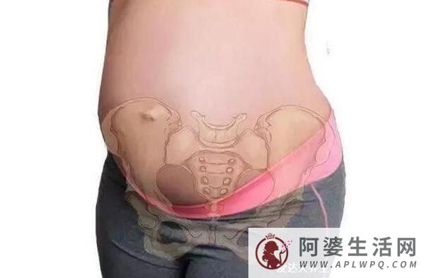 孕妇耻骨位置图，看了你就知道了