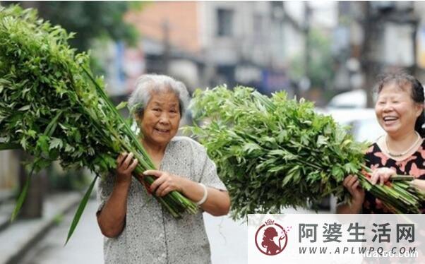 端午节门上挂艾草是什么意思