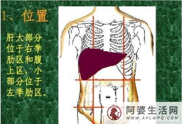 肝癌初期三处痒两处疼一处黑，肝癌右肩痛位置图片