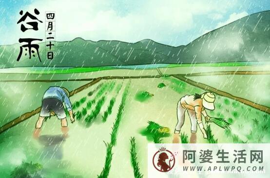 谷雨是什么意思和风俗