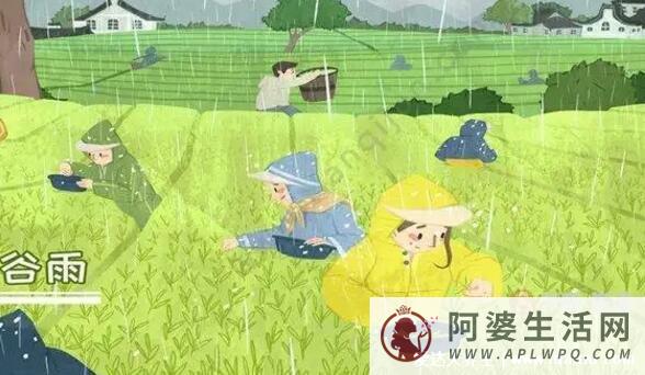 谷雨是什么意思，谷雨的来历和风俗有哪些(雨生百谷)