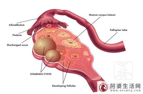 推拿3个穴道帮你维护子宫卵巢