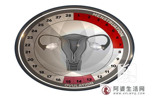 女生排卵期有10天，合理的怀孕时间是多久？