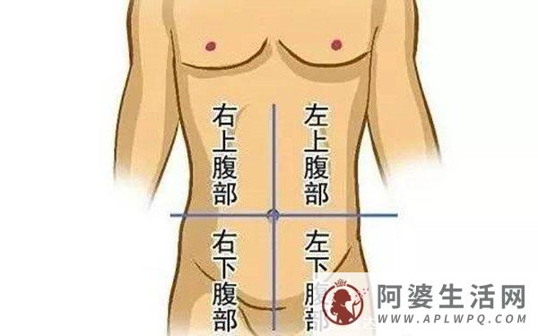 女性下腹疼痛部位图解，左下腹部和右下腹部的区别