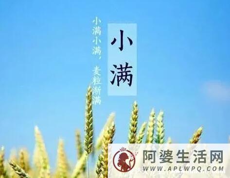 小满节气的特点和风俗，吃苦菜、祭车神等，还有这些习俗