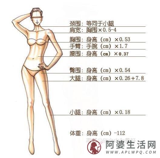 女性标准身材对照表，黄金比例与标准身材查看