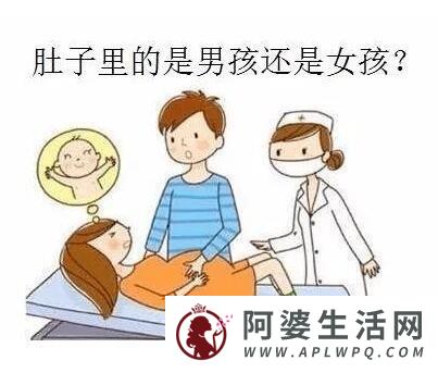 清宫图2022年生男生女表怎么算，1分钟看怀孕月份/虚龄找男女 