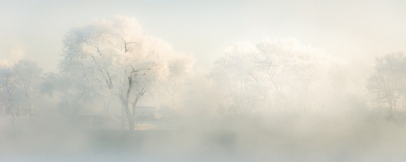 雾是由空气中的水汽和微小颗粒结合