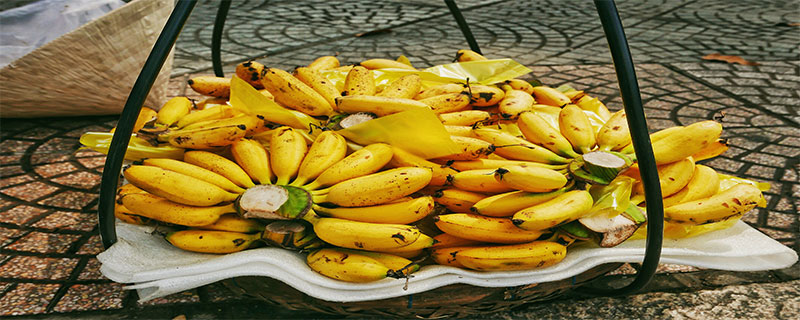 海南的水果特产，芭蕉、菠萝、荔枝、杨桃和番石榴