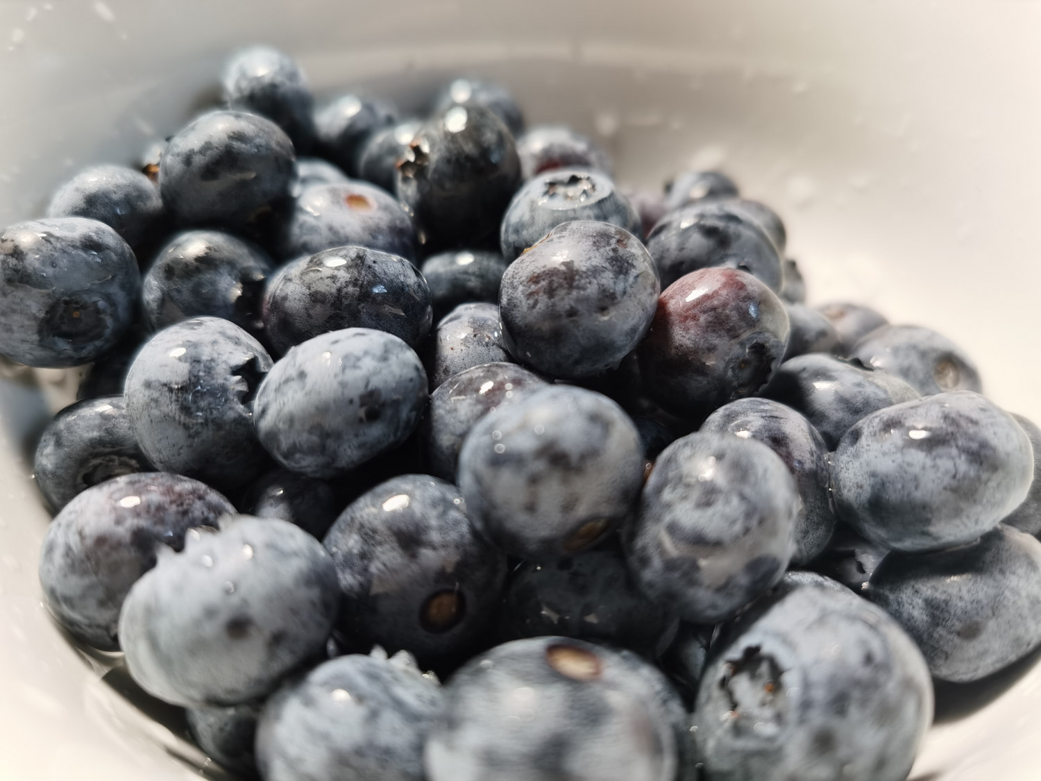 蓝莓种植技术，种植气候要求