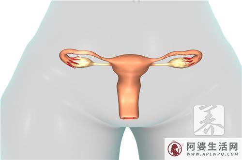 女性下面痒痒怎么回事