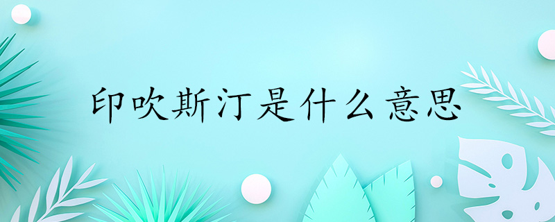 “印吹斯汀”是什么意思？从它的读音上面就可以知道