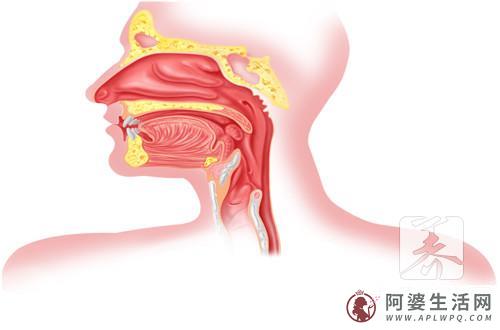 宅男健康退化的7大猜想