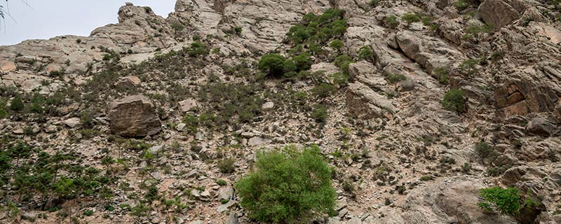 贺兰山最高峰海拔在两千米到三千米之间