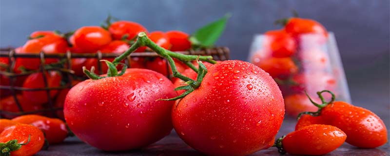 西红柿是碱性水果