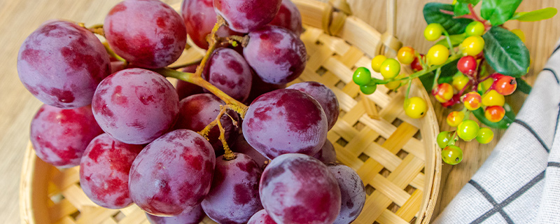 想要挑选新鲜葡萄可以看葡萄的外表、果梗、捏一捏葡萄