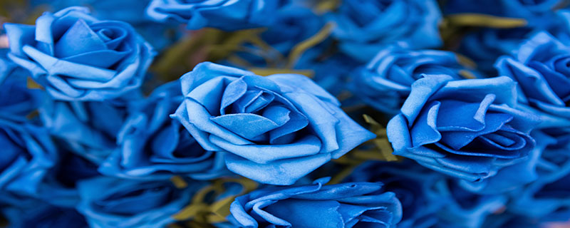 染色成蓝色的玫瑰花，代表相守的承诺