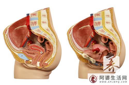 龟头发红痒且很痒怎么回事？