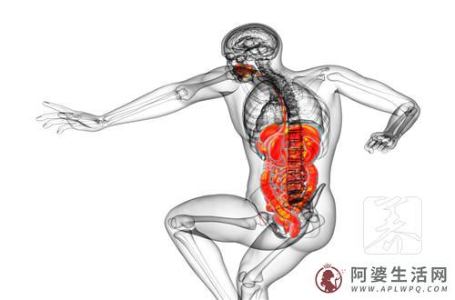 强壮男人最需要的8大营养素