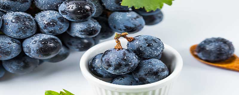 巨峰葡萄的成熟时间是在8月中下旬，有哪些品种可以提早上市？