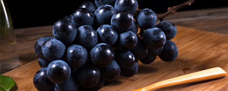 葡萄，酸甜可口，营养丰富，是老幼皆宜的水果